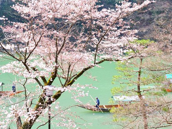 京都 嵐山
元舞妓同行・三味線演奏貸切屋形船体験