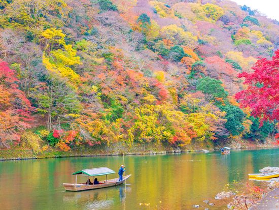 京都 嵐山
貸切屋形船・昼食付き遊覧体験
