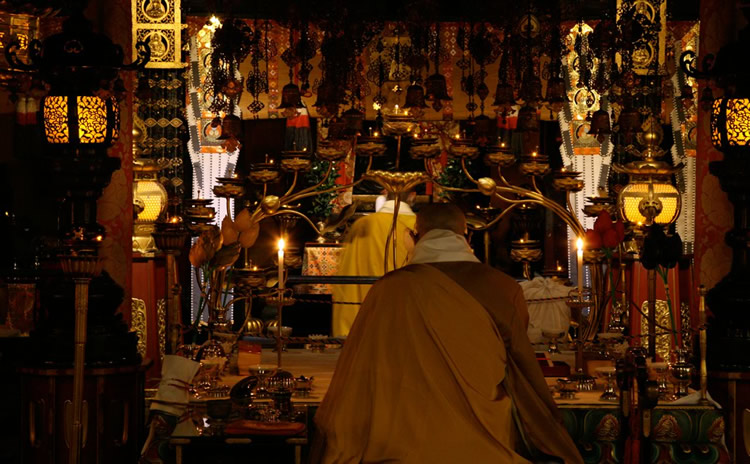 京都 东寺
先祖供养·现世祈福 专属空间特别法事