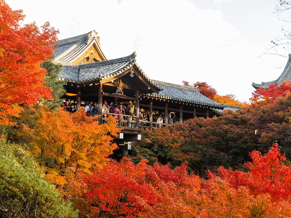京都 临济宗东福寺派大本山 东福寺
非公开区域 · 特别参拜体验-thumb-4