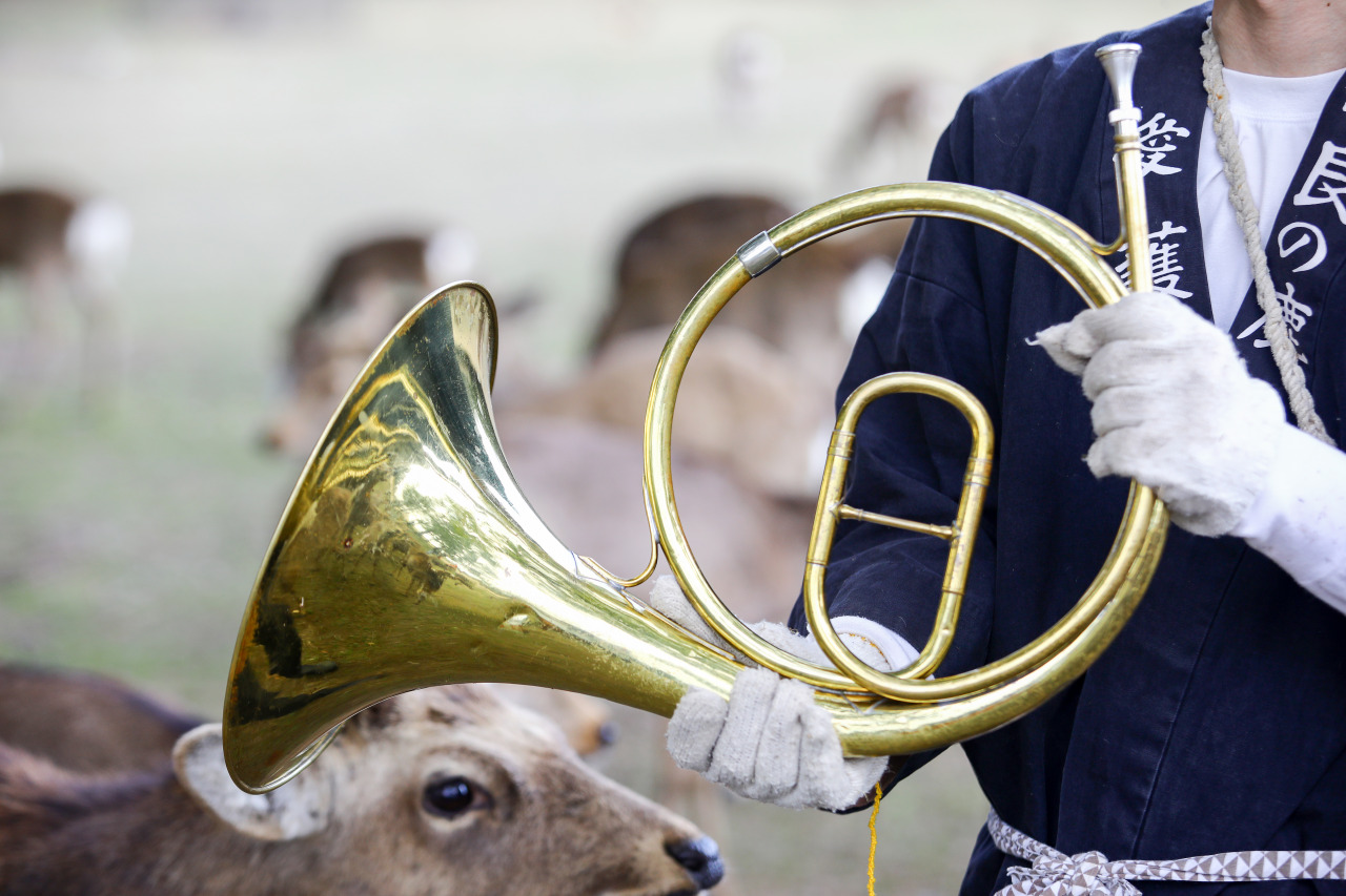 奈良 春日大社
神鹿号角·专属神域臻享体验-thumb-5
